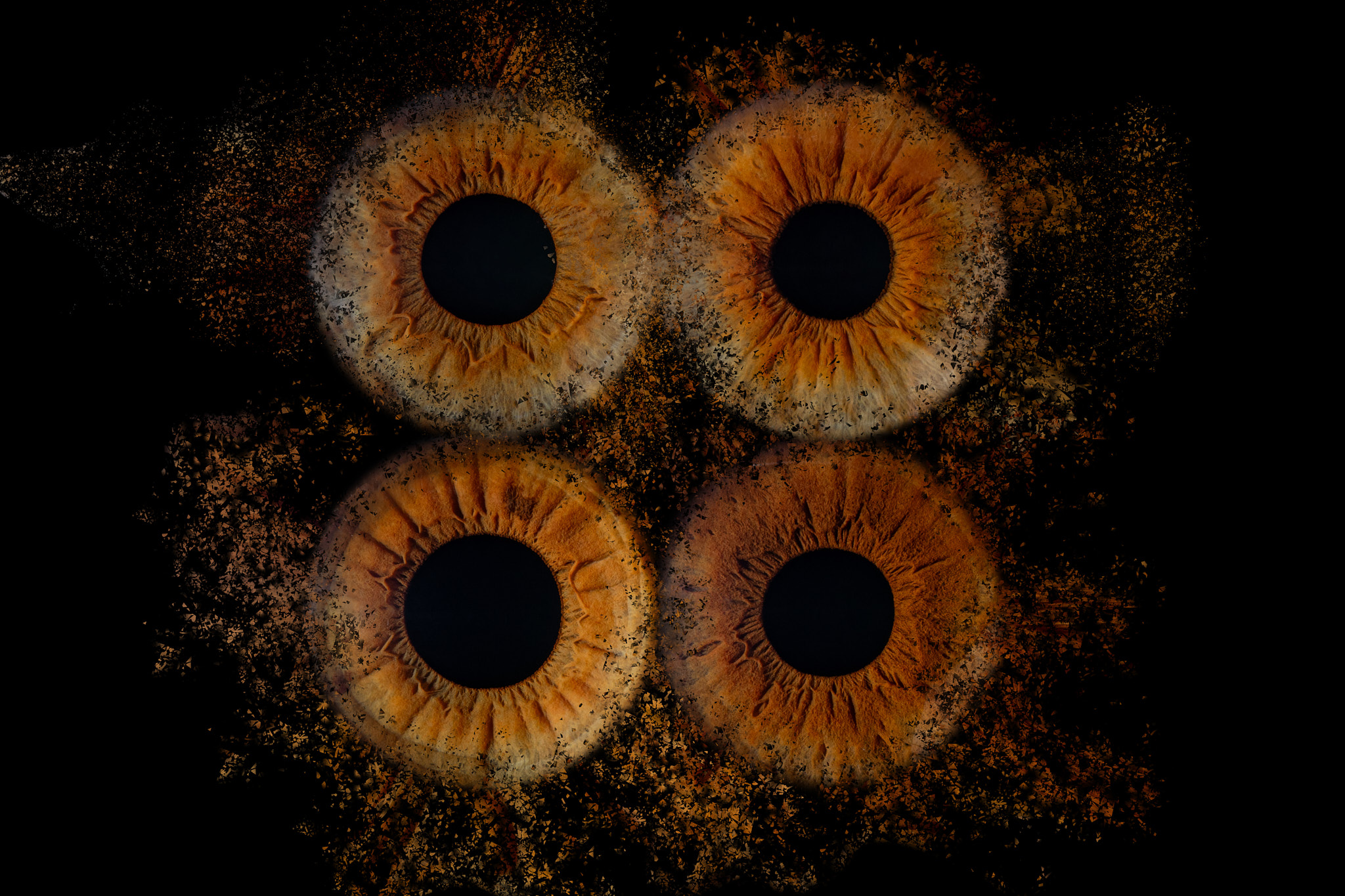 photo iris laval pegase photo 01