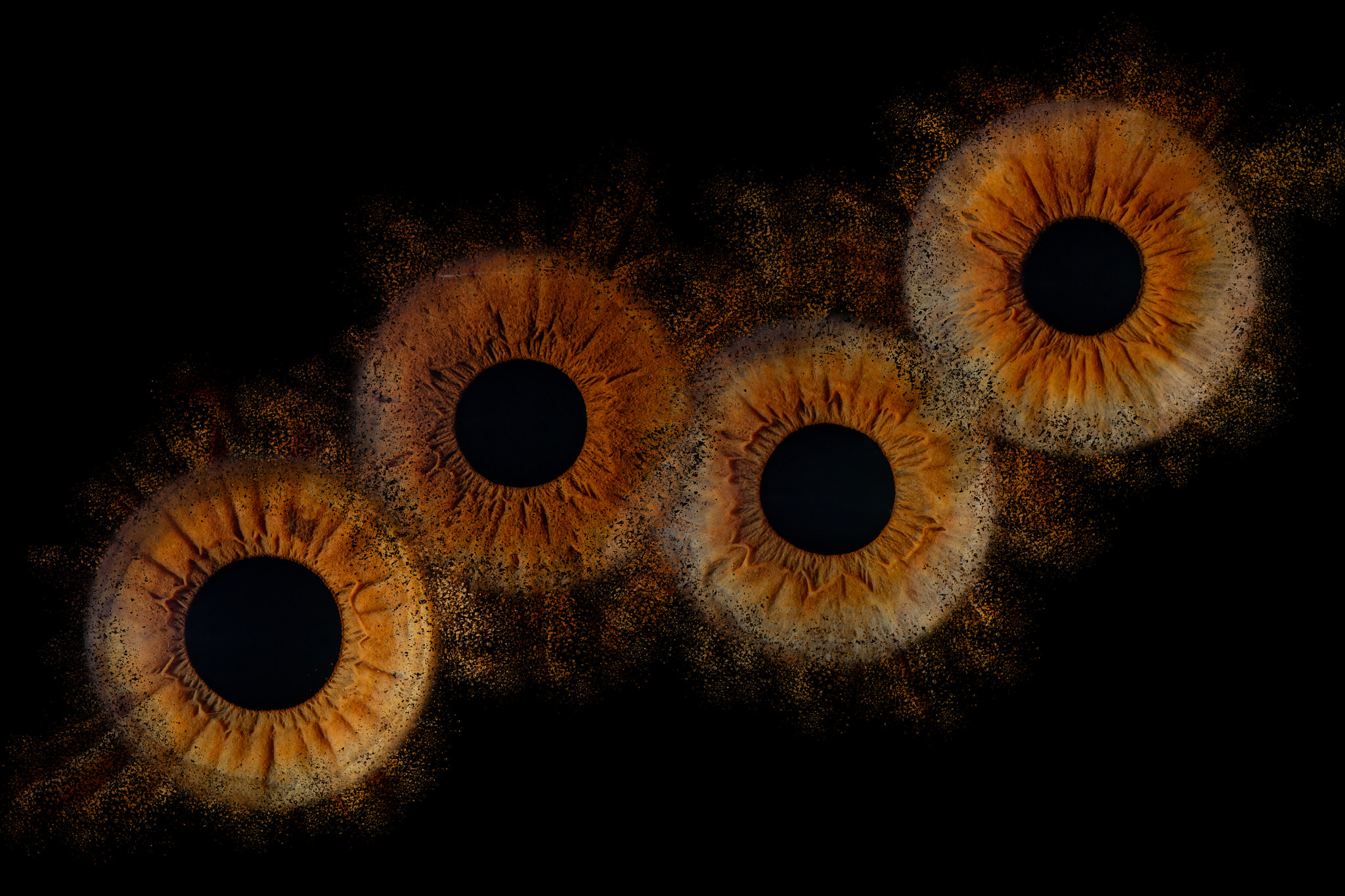 photo iris laval pegase photo 02