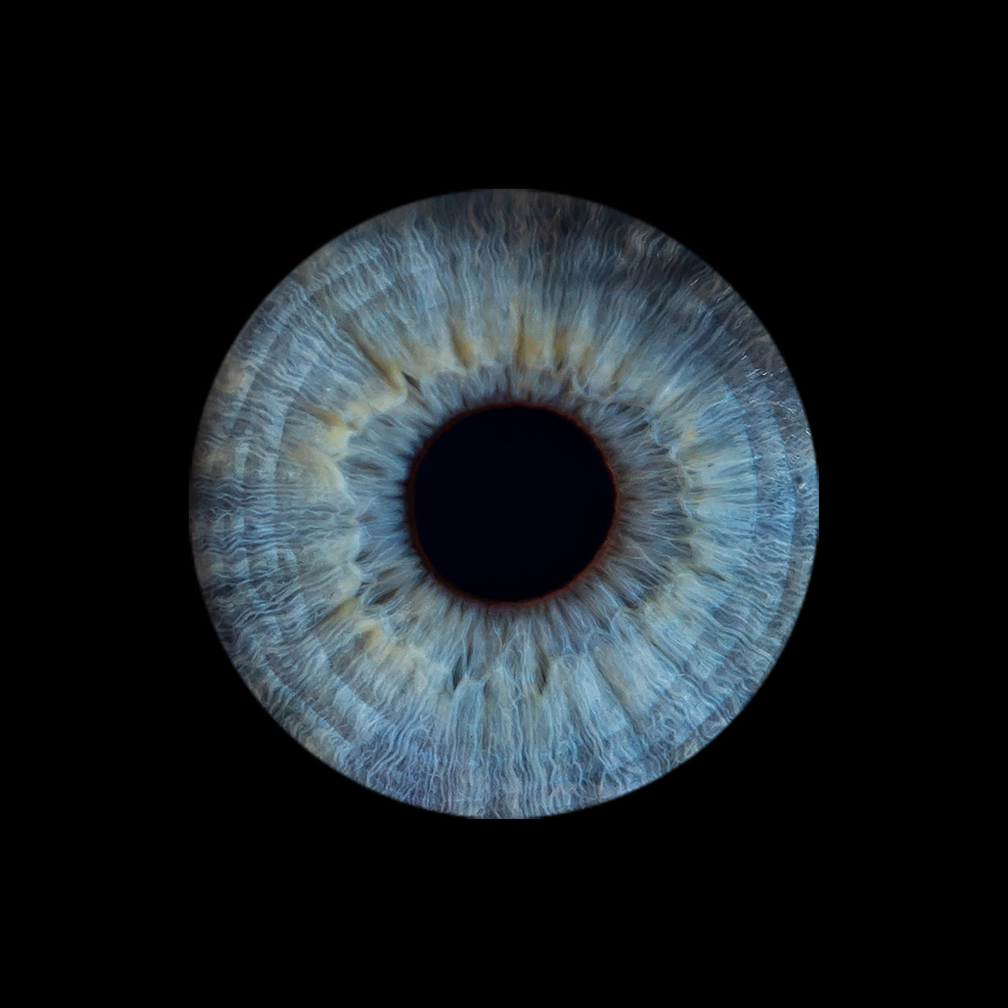 photo iris laval pegase photo 05